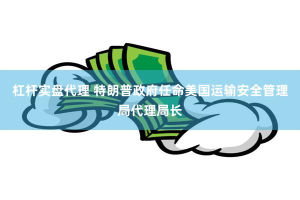 杠杆实盘代理 特朗普政府任命美国运输安全管理局代理局长