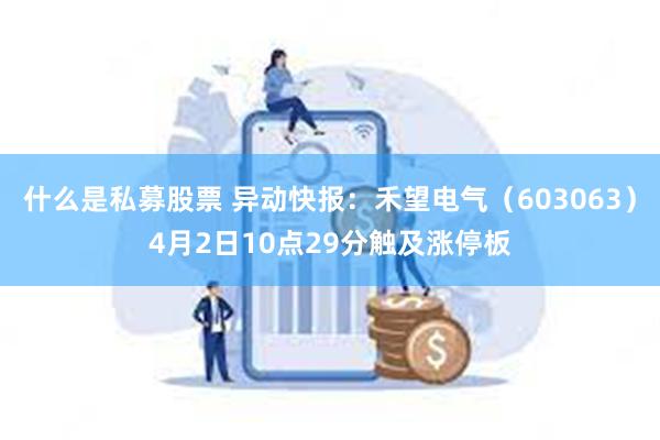 什么是私募股票 异动快报：禾望电气（603063）4月2日10点29分触及涨停板