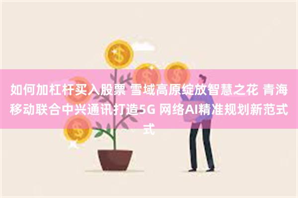 如何加杠杆买入股票 雪域高原绽放智慧之花 青海移动联合中兴通讯打造5G 网络AI精准规划新范式