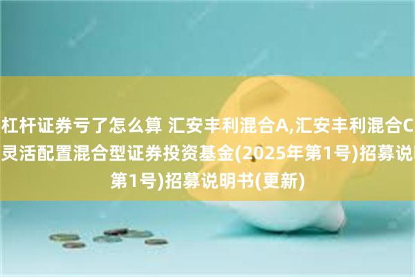 杠杆证券亏了怎么算 汇安丰利混合A,汇安丰利混合C: 汇安丰利灵活配置混合型证券投资基金(2025年第1号)招募说明书(更新)