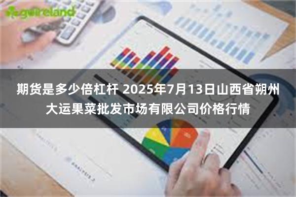 期货是多少倍杠杆 2025年7月13日山西省朔州大运果菜批发市场有限公司价格行情